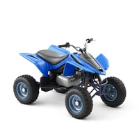 Quad- und ATV-Versicherung mit eVB-Nummer